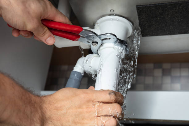 Best Mold removal after water damage  in Sound Beach, NY