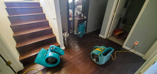 Best Water damage restoration near me  in Sound Beach, NY