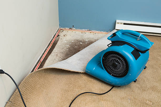 Best Water damage cleanup near me  in Sound Beach, NY